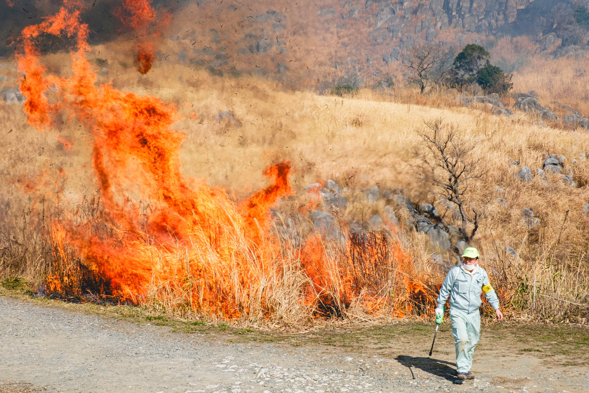 野焼きが生み出す風景