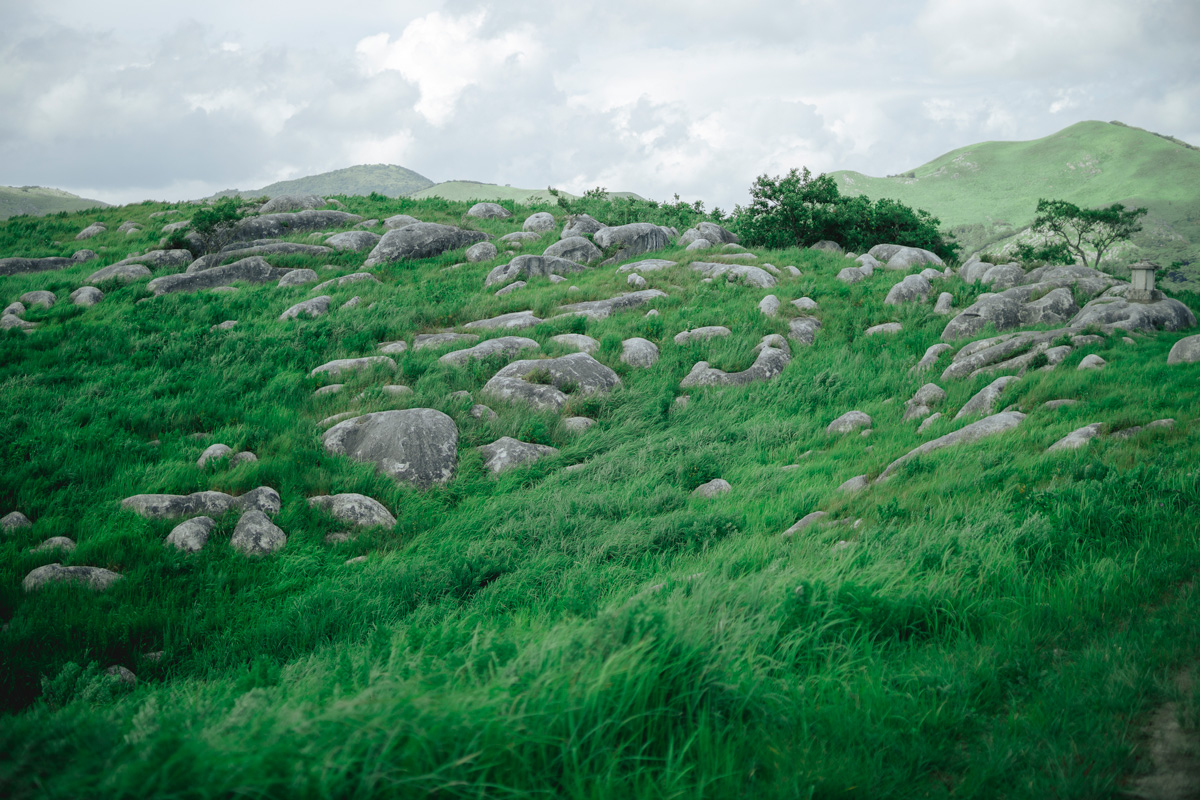 そして、石はひつじになる。